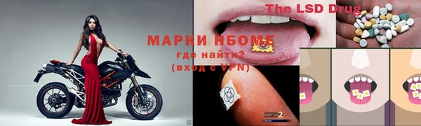 дживик Аркадак