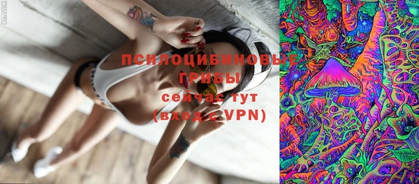 дживик Аркадак