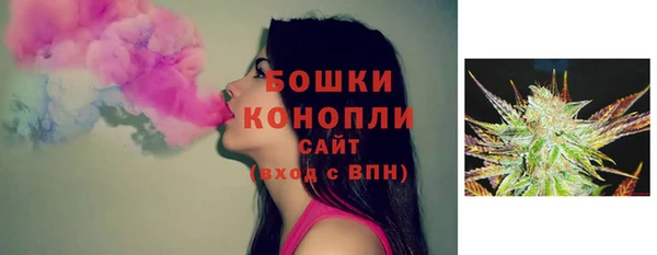дживик Аркадак