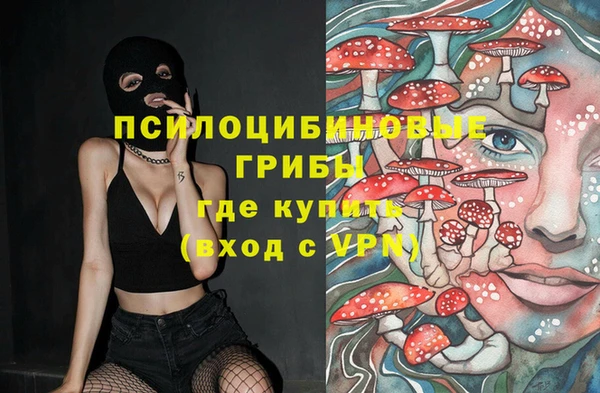 дживик Аркадак