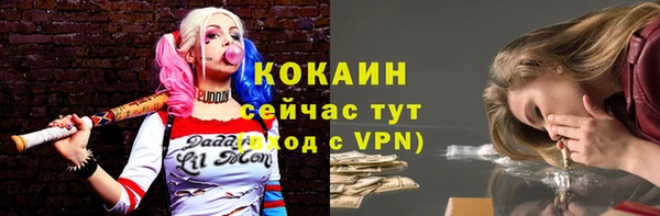 дживик Аркадак